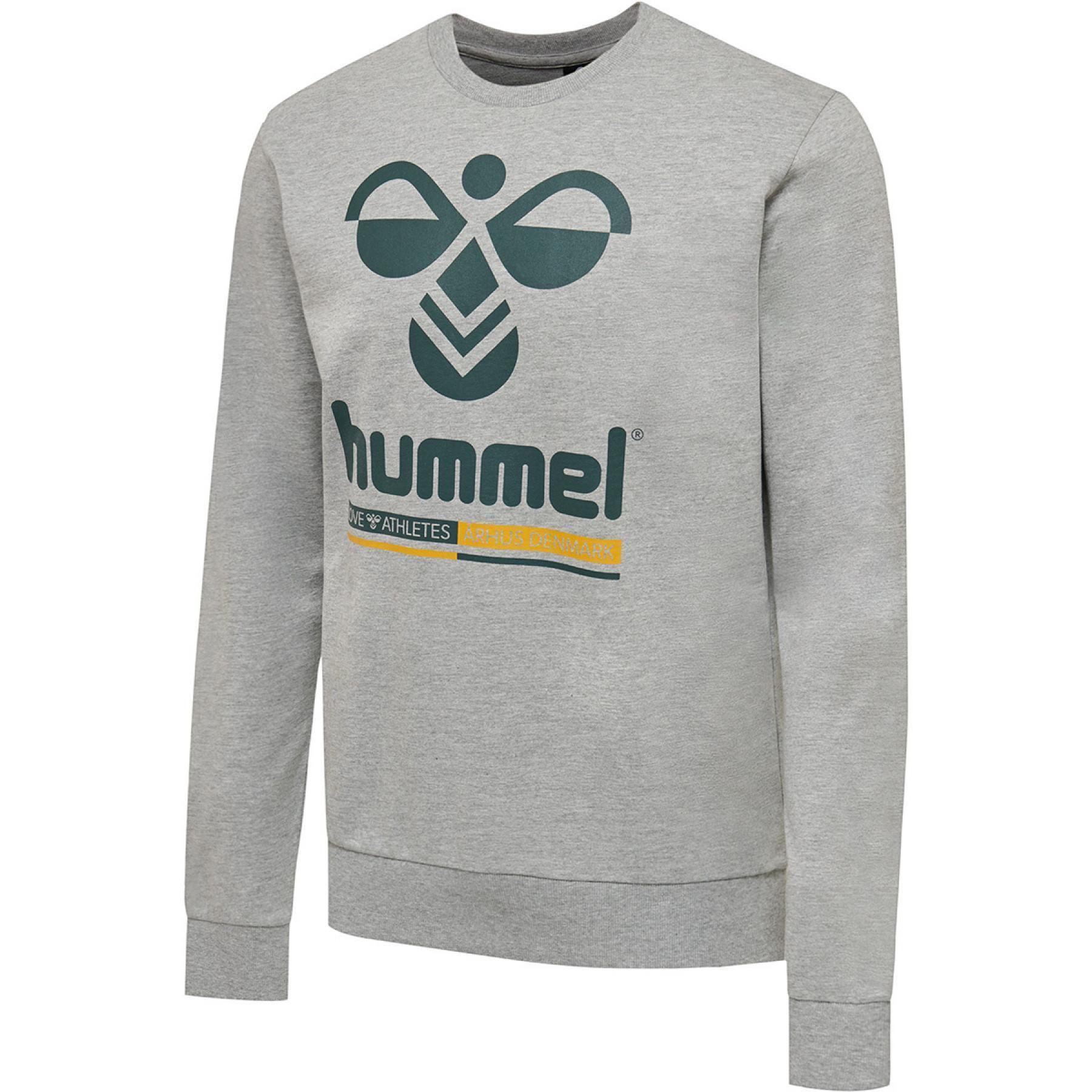 Hooded sweatshirt Hummel hmlwin