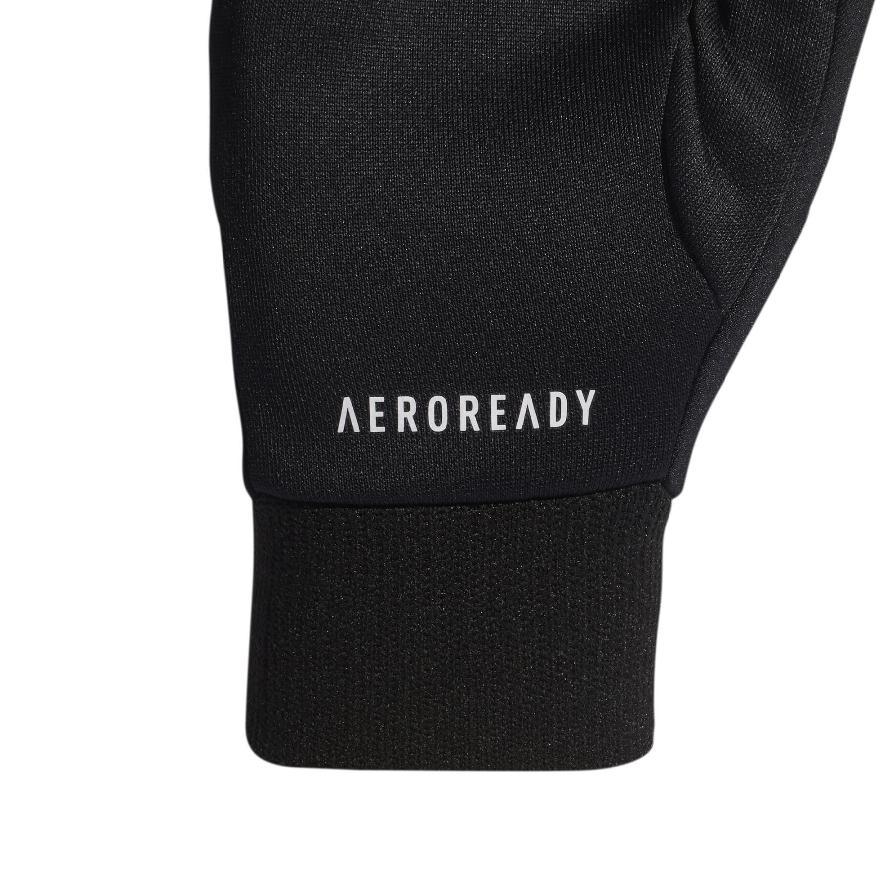 Gloves adidas Terrex Aeroready
