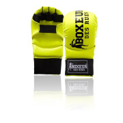 Karate Glove & Fit-BoxIng Boxer of the Streets
