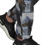 Pants adidas Sportswear Mountain Graphic
