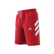 adidasalah Football Inspired Kids Shorts