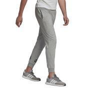 Pants adidas Essentials Big Logo Single